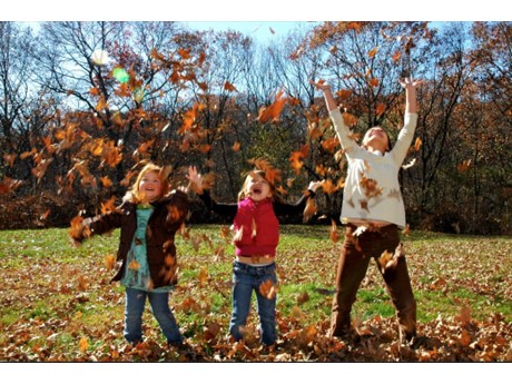 Children throwing autumn leaves in the air in a field