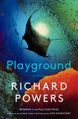 Playground book cover