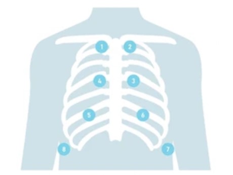 Lungs for 5 Element Healing Qi Gong