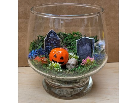 A mini graveyard terrarium