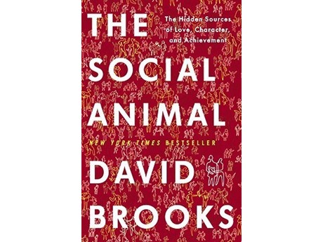 Social Animal by David Brooks