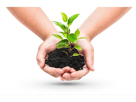 earth plant hands