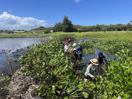 Waialeʻe Lako Pono