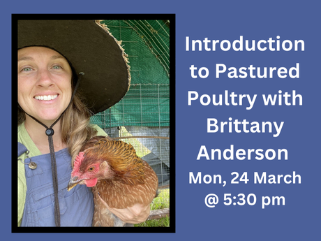 A woman holding a chicken with the wording Introduction to Pastured Poultry with Brittany Anderson Mon, 24 Mar @ 5:30 pm