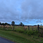 a fenced in pasture with cloudy skies