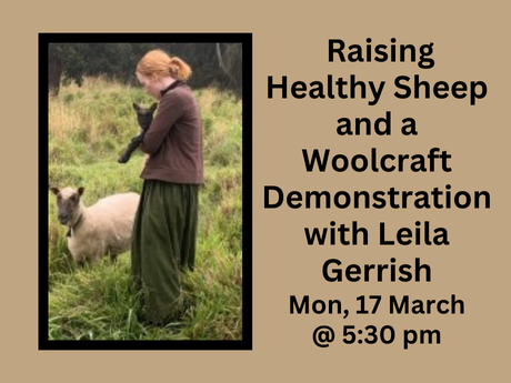 A woman holding a sheep in a pasture with another sheep.