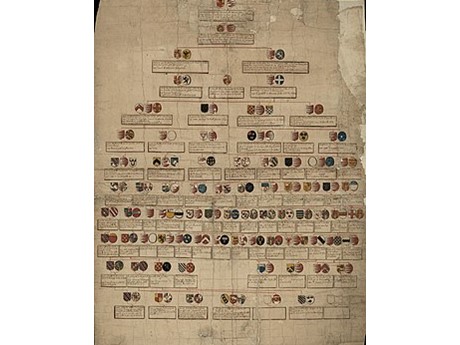 A very old family tree.