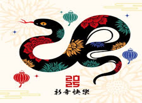 year of the snake image