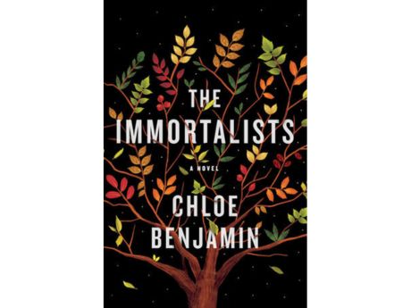 The Immortalist book cover