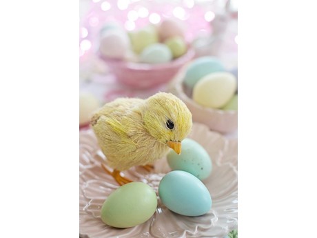 A chick surrounded by pastel Easter eggs