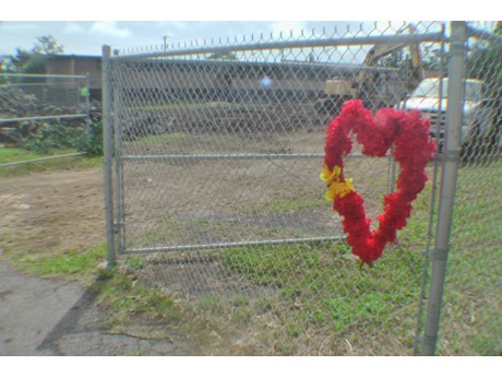 Flower heart on fence in front of lot where Naalehu Theatre once stood