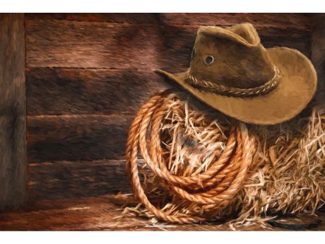 hay bale, lasso, and cowboy hat