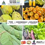 Event flyer featuring images of ulu, bundles of luʻau, tangerines and assorted vegetables.