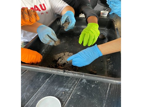 Multiple people using their hands to make seed balls with dirt wearing neon gloves