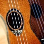 bodies of 3 string instruments of varying shades of wood