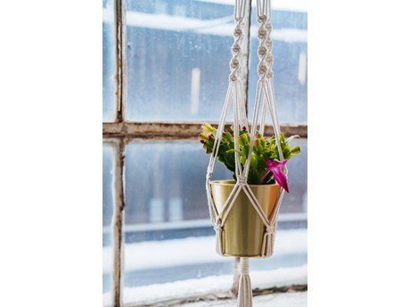 macrame plant hanger