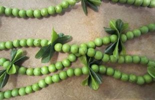 A string of green mokihana berries on a lei