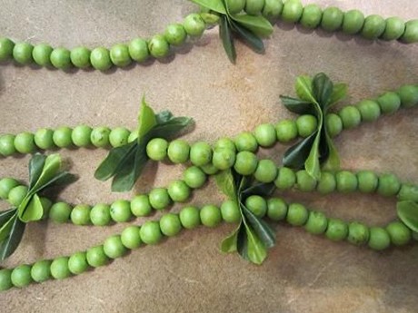 A string of green mokihana berries on a lei
