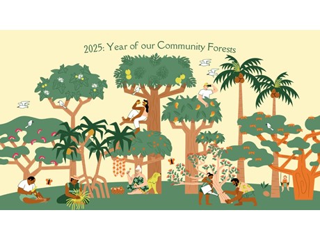 2025 Year of Our Community Forests