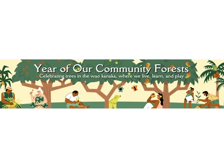 Year of our Community Forests