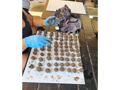 hands preparing seed balls