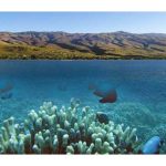 Molokai island skyline and underwater ocean scene.
