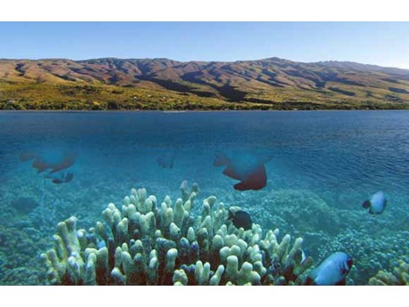 Molokai island skyline and underwater ocean scene.