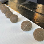 A row of brown seed balls on a white table.