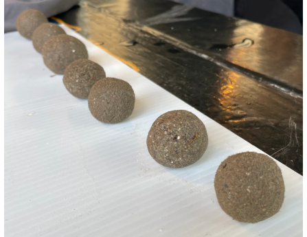 A row of brown seed balls on a white table.