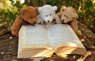 teddy bears reading a book