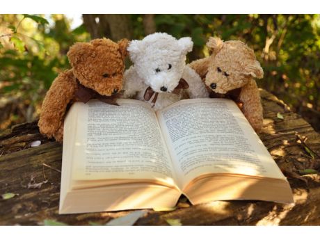 teddy bears reading a book