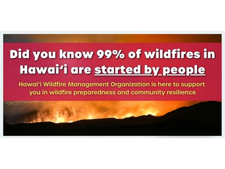 Hawaii Wildfire Management Organization fact featuring a glowing brushfire.