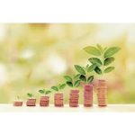 Stacks of coins with plants sprouting from the top of it.