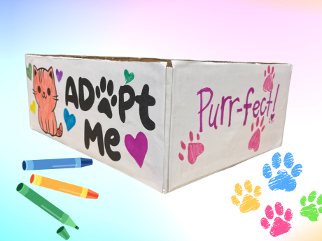 A box decorated with crayons and pens highlighting a cat and pet adoption.