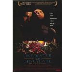 poster for Like Water for Chocolate movie