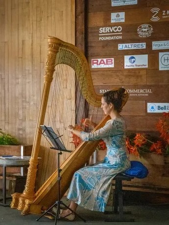Female harp player