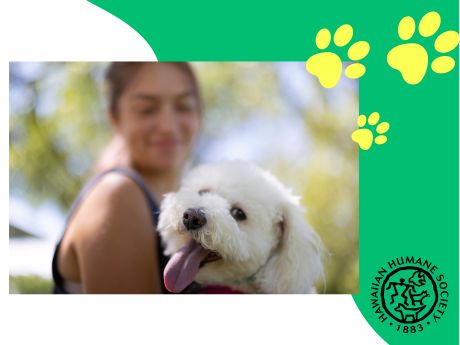 Pet owner holding a dog