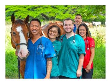 Windward Community College Veterinary Technology students posing in front of a horse.