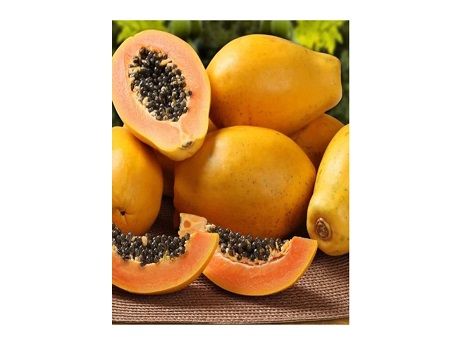 solo papaya