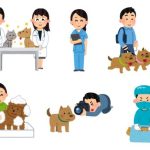 Image showing veterinarians, a veterinary nurse, dog walker, dog groomer, and pet photographer performing their jobs
