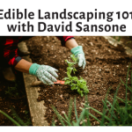 Text: Edible Landscaping 101 with David Sansone featuring a picture of two hands with gardening gloves planting edible plants with chives in the foreground.