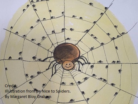 Family Story Time: Spiders!