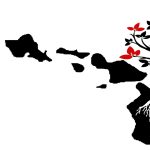 Photo of a tree with roots over the hawaiian island archipelago.