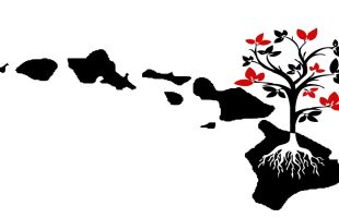 Photo of a tree with roots over the hawaiian island archipelago.