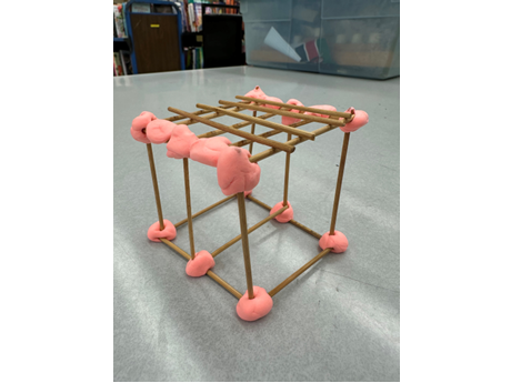 Toothpick Structure w/Candy Test (Ages 6+)