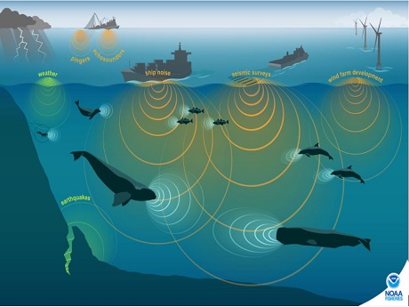 NOAA image of ocean sounds.