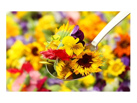 Edible Flowers
