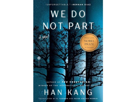 cover of book We Do Not Part by Han Kang