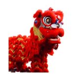 Chinese New Year Lion Dance white background