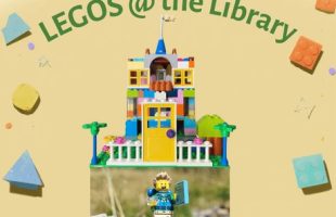 LEGOS at the Library
